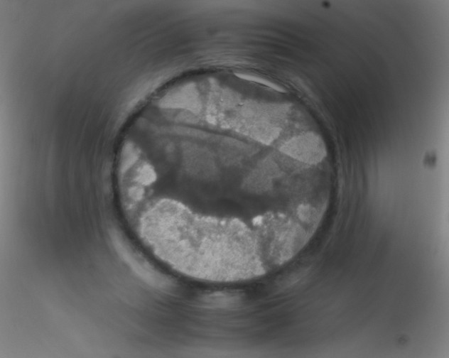 X0000115180447200911251400