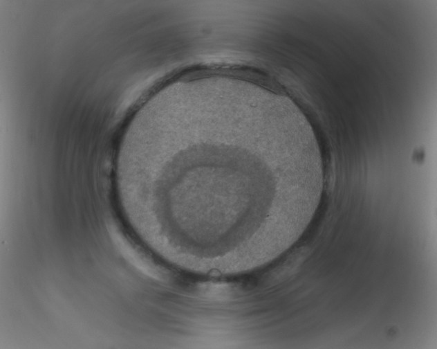 X0000115180448200911251400