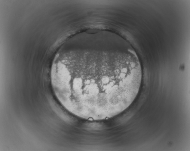 X0000115180449200911251400
