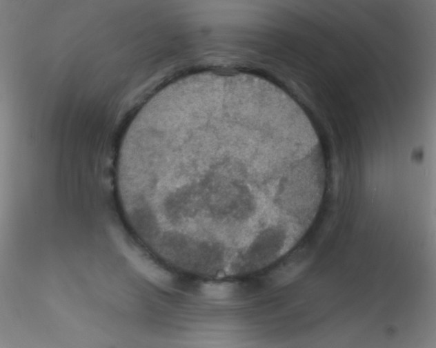 X0000115180450200911251400