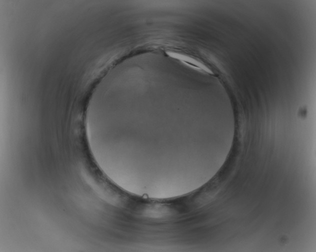 X0000115180451200911251400