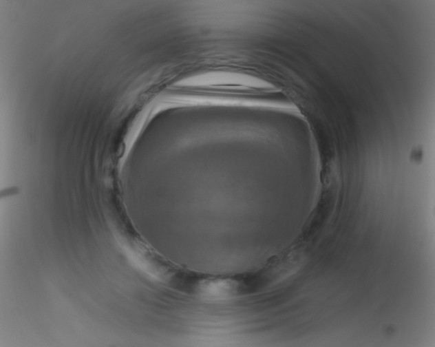 X0000115180452200911251400