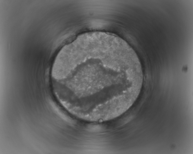 X0000115180454200911251400