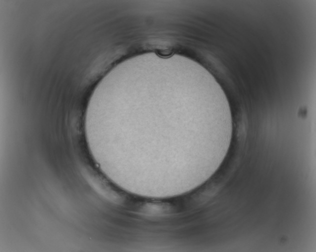 X0000115180455200911251400