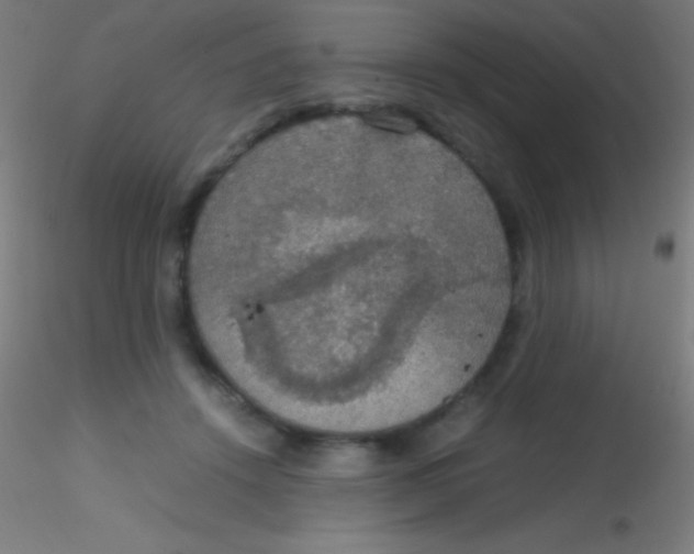 X0000115180456200911251401
