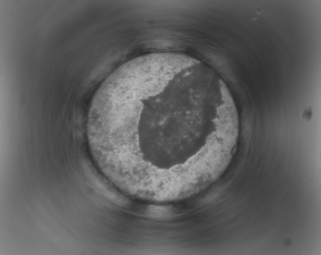 X0000115180457200911251401