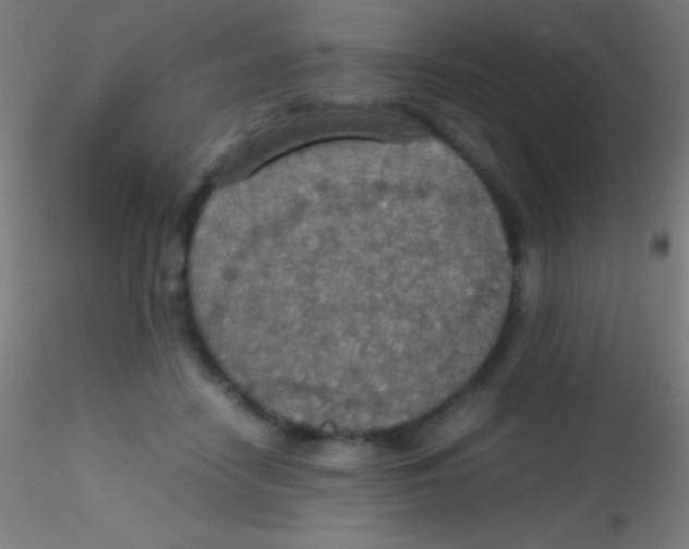 X0000115180458200911251401