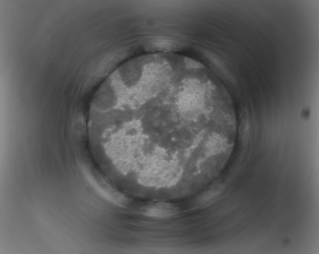 X0000115180459200911251401