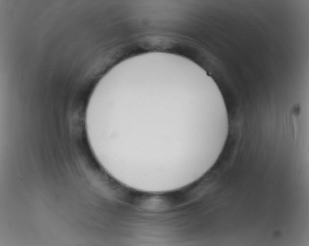 X0000115180460200911251401