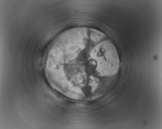 X0000115180462200911251401