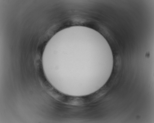 X0000115180463200911251401