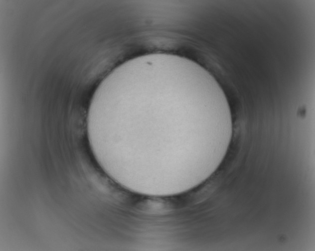 X0000115180464200911251401