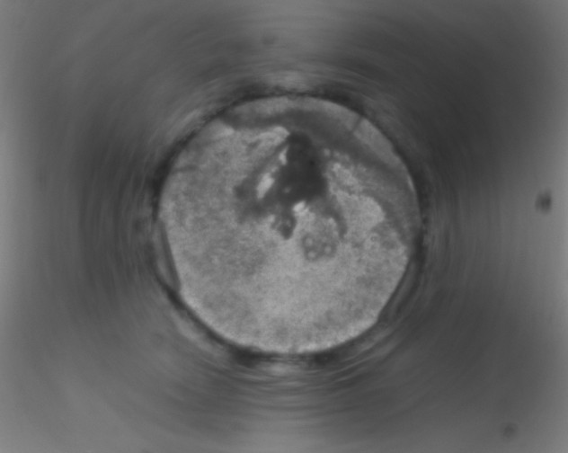 X0000115180466200911251401