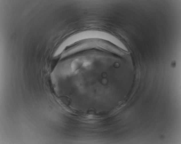X0000115180467200911251401
