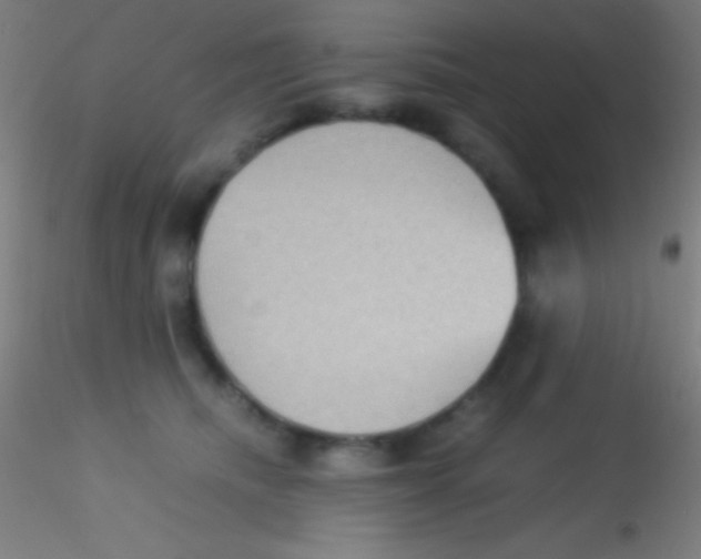 X0000115180468200911251401