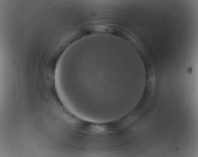 X0000115180469200911251401