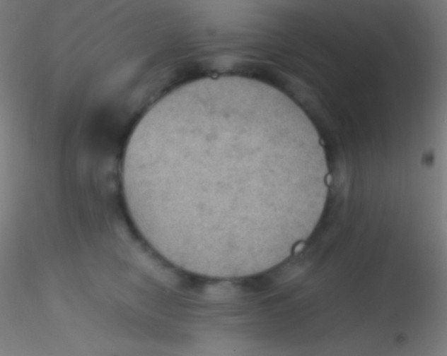 X0000115180470200911251401