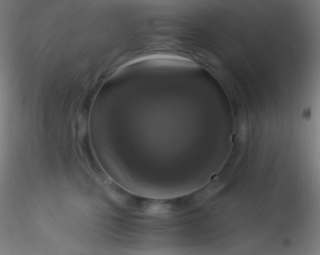 X0000115180471200911251401
