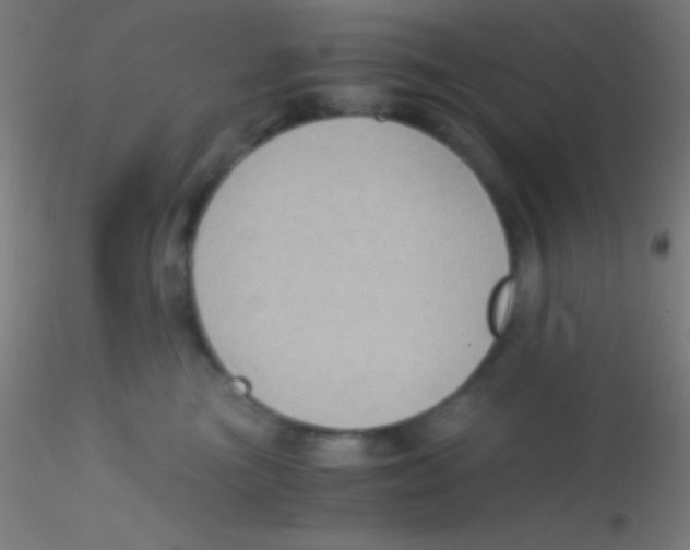 X0000115180473200911251401