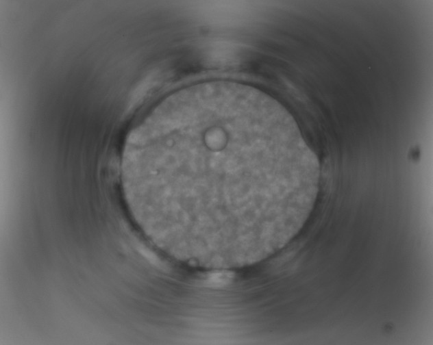 X0000115180474200911251401