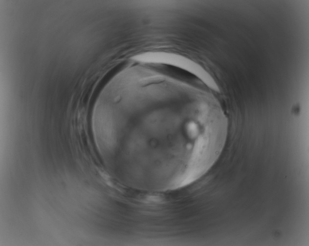X0000115180475200911251401