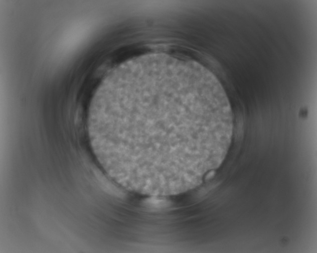 X0000115180477200911251401