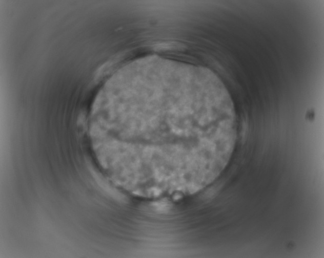 X0000115180478200911251401