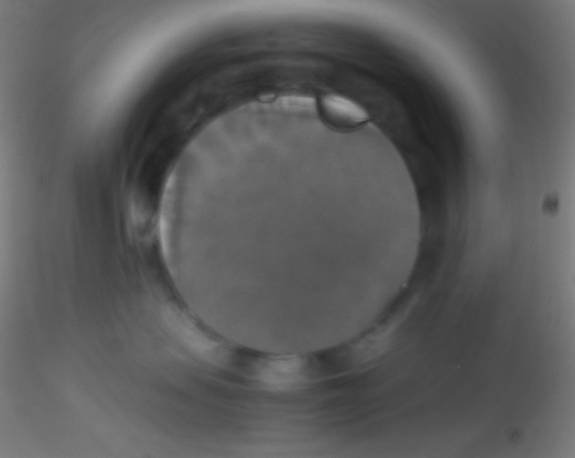 X0000115180479200911251401