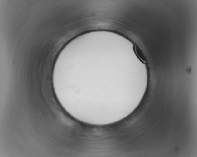 X0000115180481200911251400
