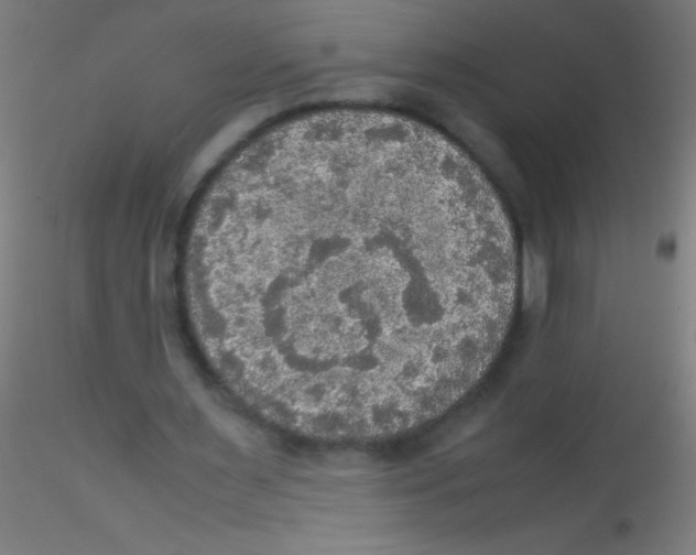 X0000115180483200911251400