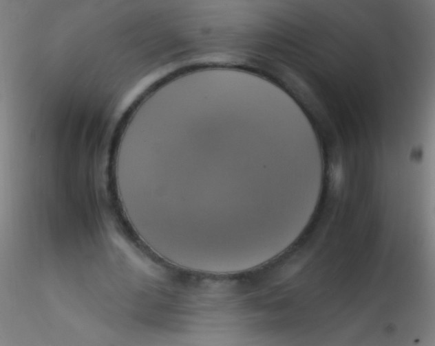 X0000115180484200911251400