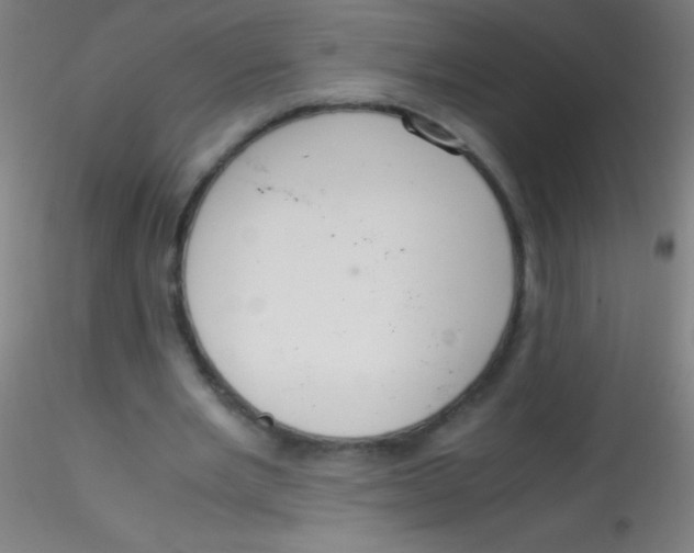 X0000115180485200911251400