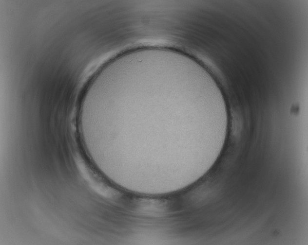 X0000115180486200911251400