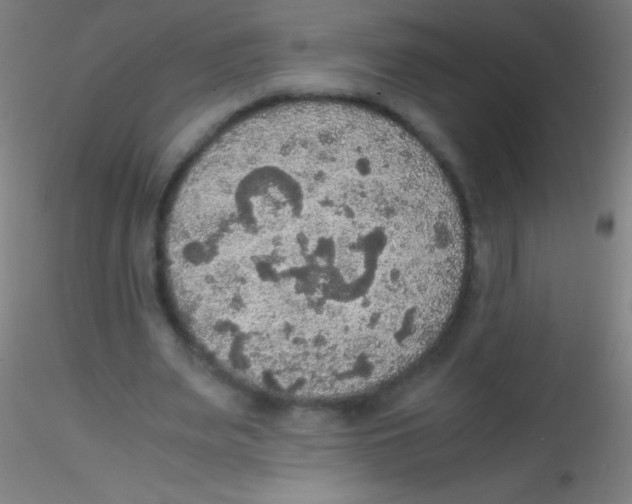 X0000115180487200911251400