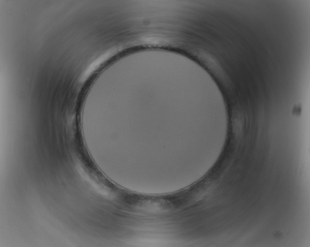 X0000115180488200911251400