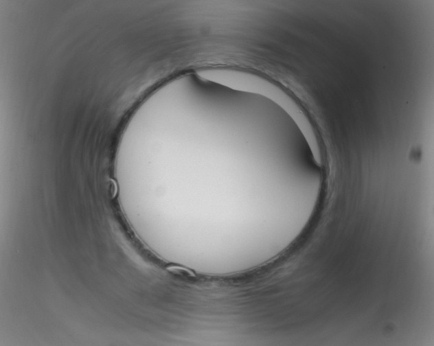 X0000115180489200911251400