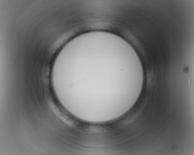 X0000115180490200911251400