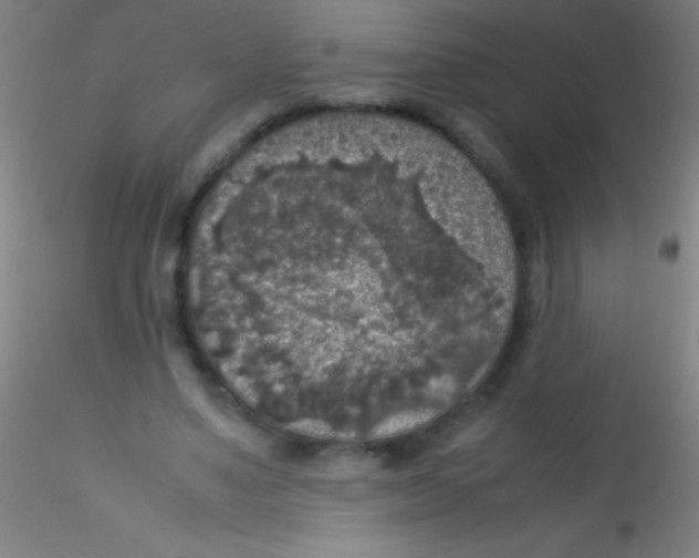 X0000115180491200911251400