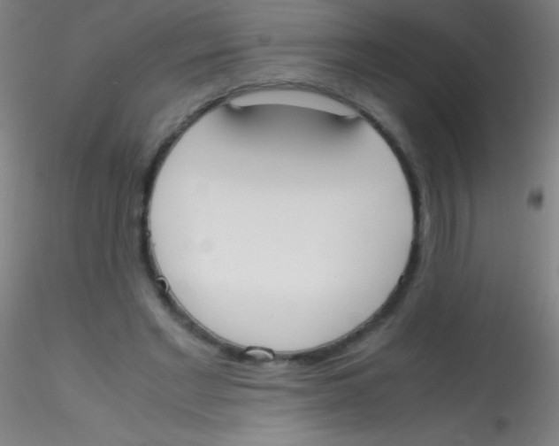 X0000115180493200911251400