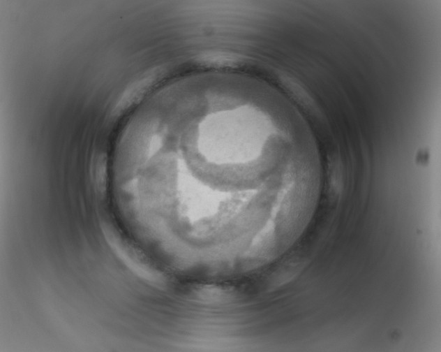 X0000115180494200911251400