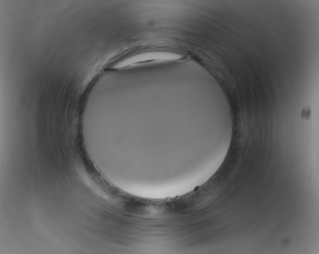 X0000115180496200911251400