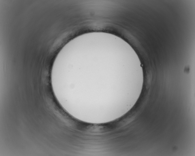X0000115180497200911251400