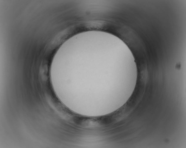 X0000115180498200911251400