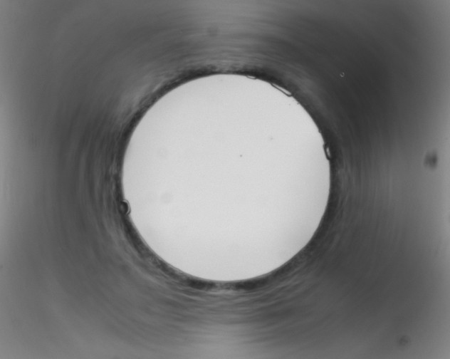 X0000115180499200911251400