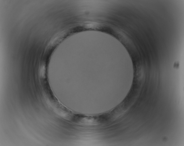 X0000115180502200911251400