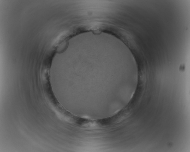 X0000115180503200911251400