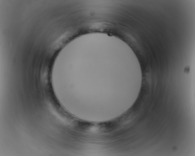 X0000115180504200911251400