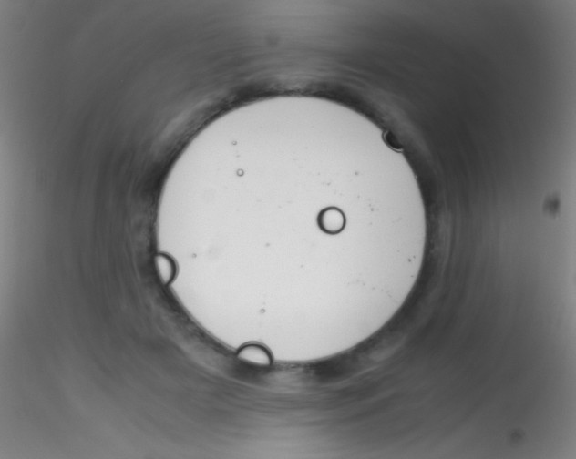 X0000115180505200911251400