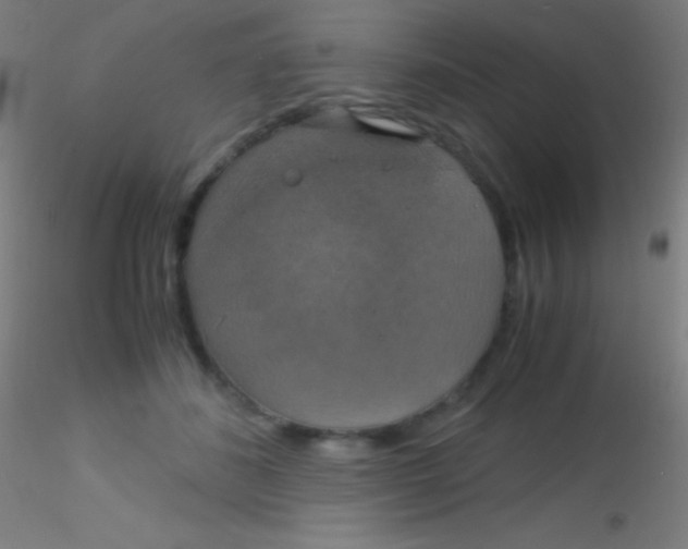 X0000115180508200911251400