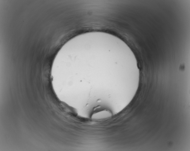 X0000115180509200911251400